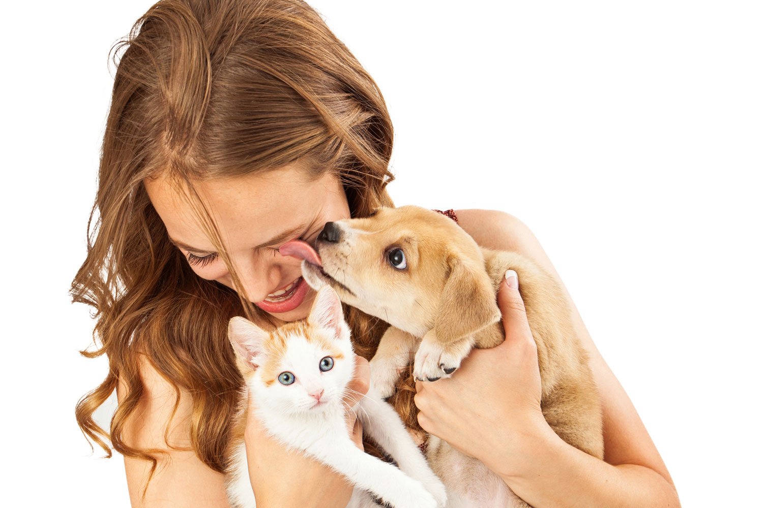 4-legged friends3