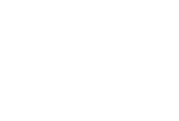 loghi/Dalania__BORGO_white.png