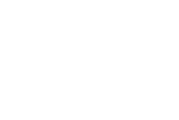 loghi/Dalania__CHALET_white.png