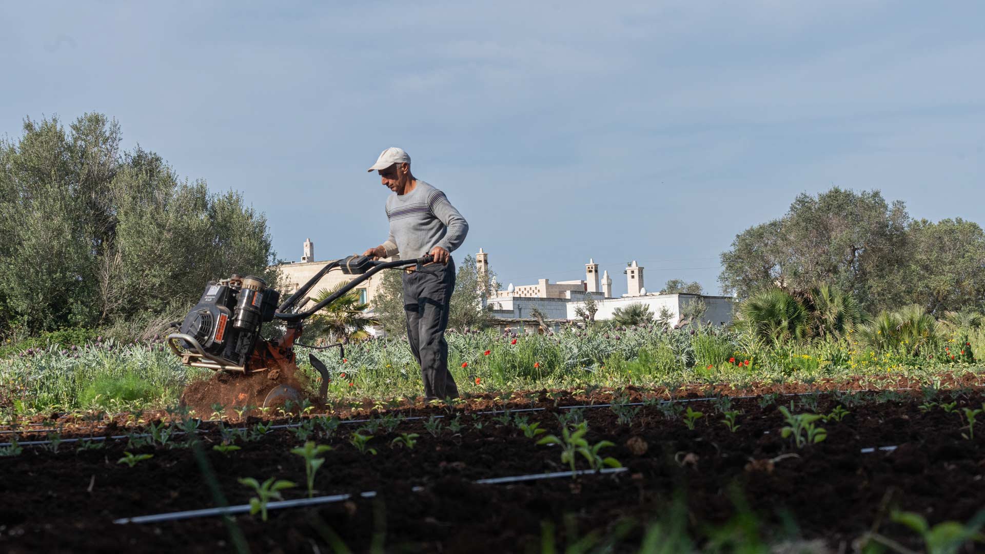 Masseria Palombara Resort - Home Page 0