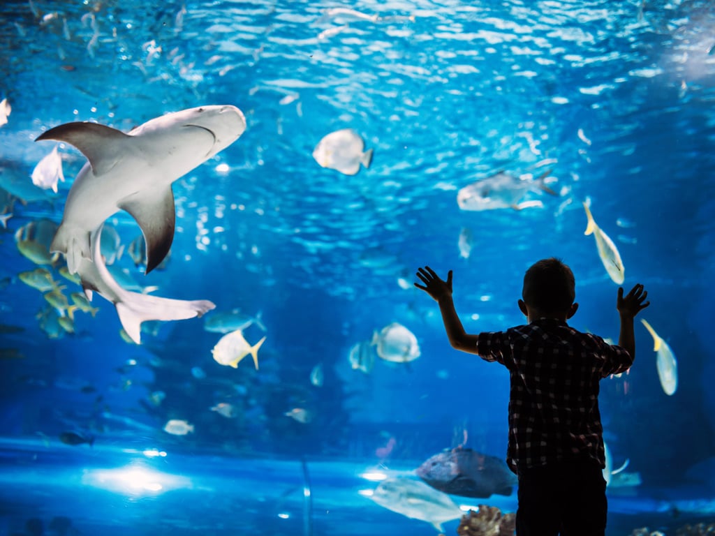 amusEmEnt paRks foR adults and childREn8