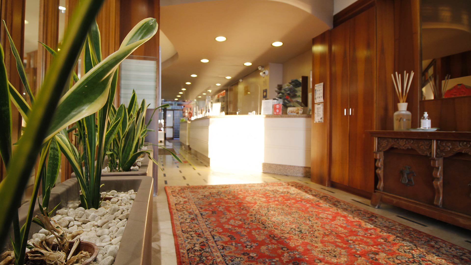 hotEl4