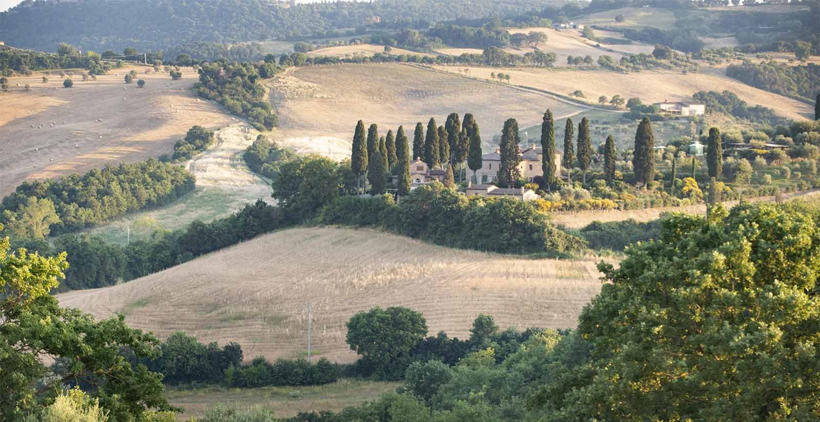 Villa San Sanino - VILLA SAN SANINO6
