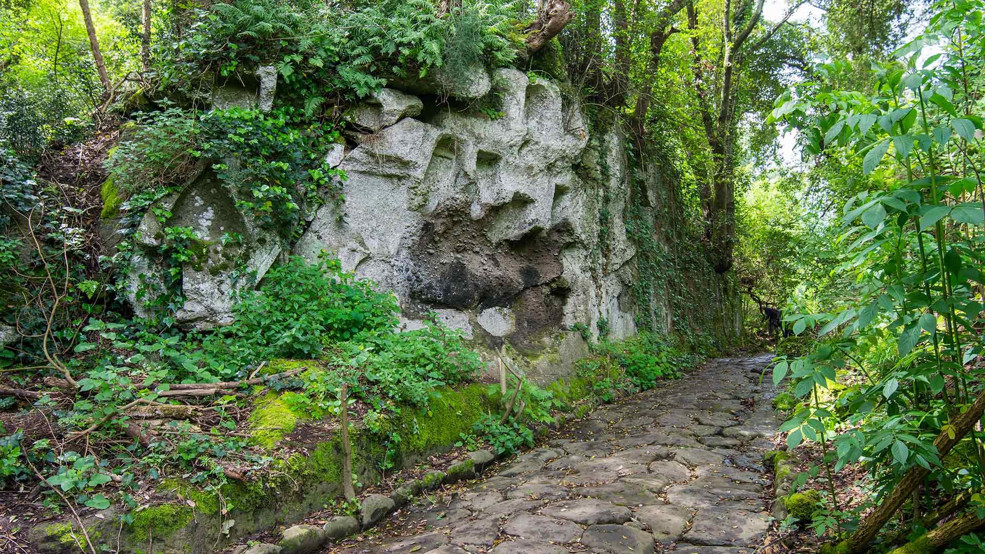 Surroundings 3 Surroundings 3