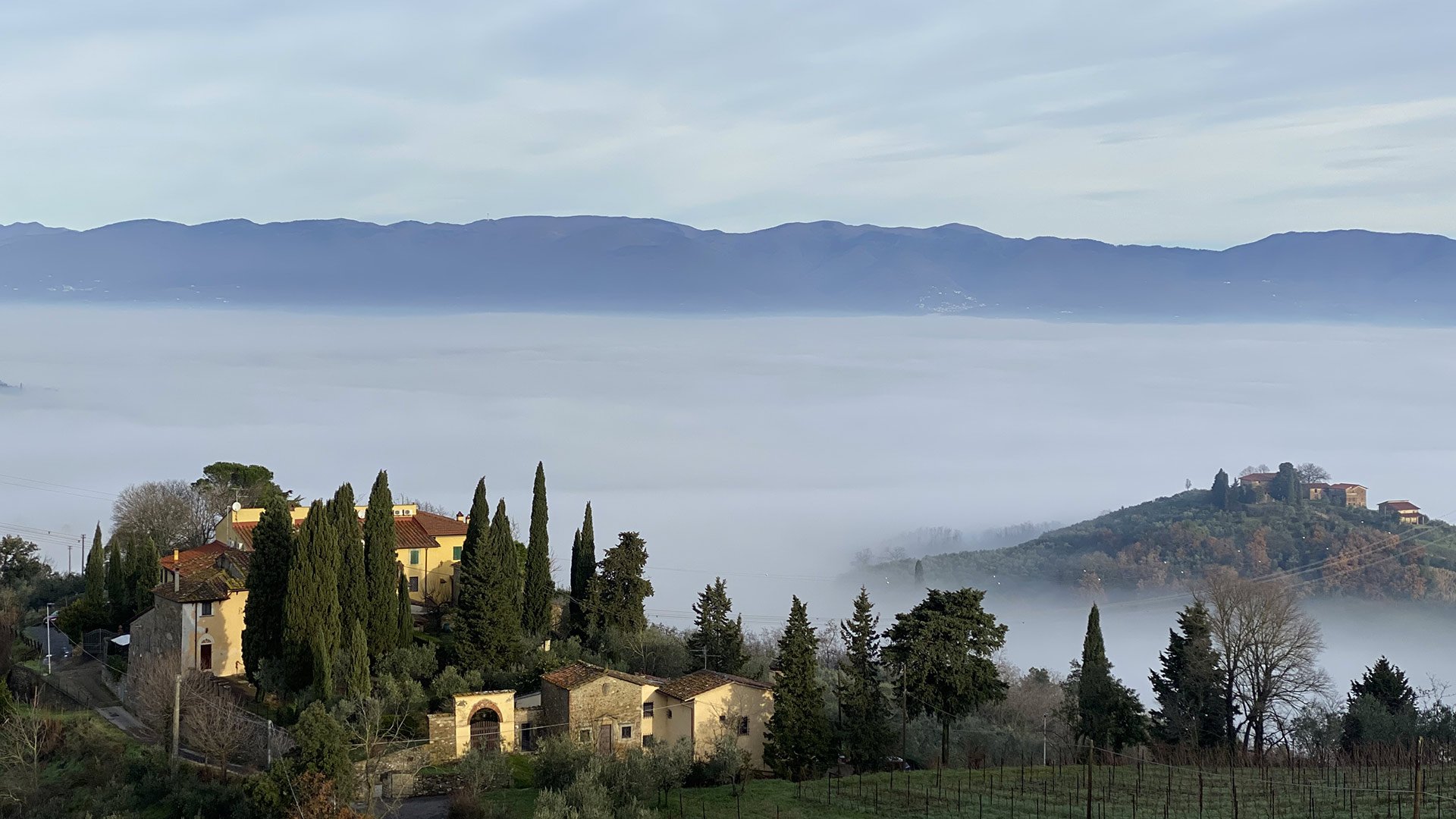 About Carmignano1