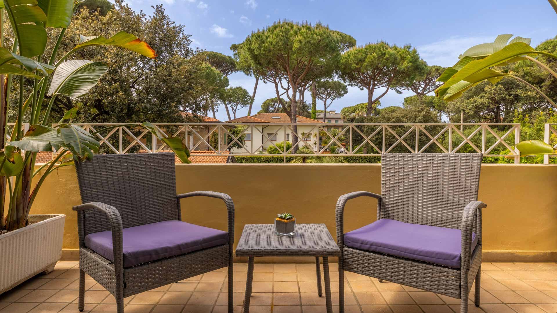 Comfort with terrace7
