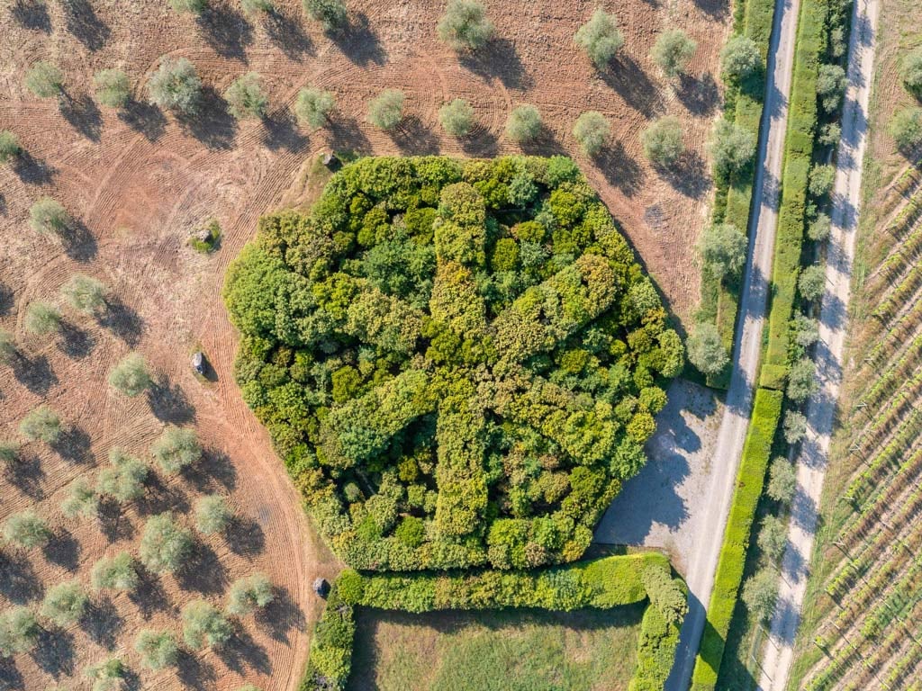 La Toscana per tutti i sensi 46