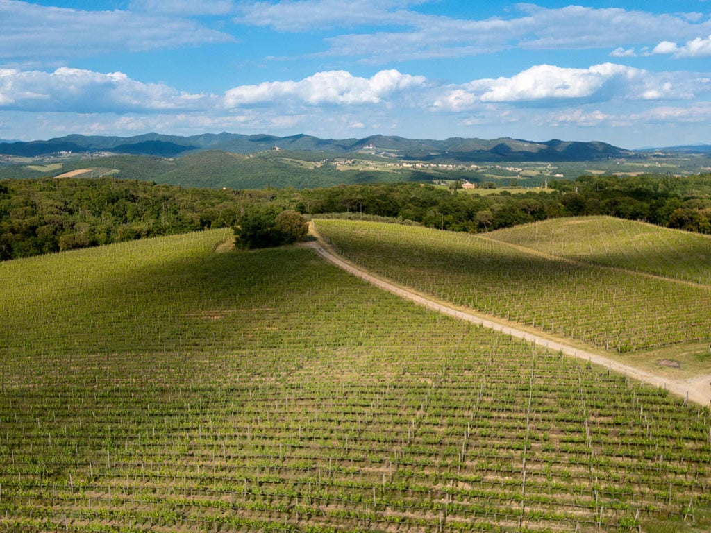 La Toscana per tutti i sensi 46
