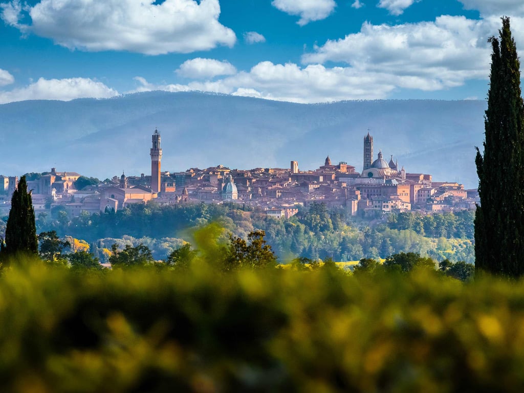 La Toscana per tutti i sensi 63