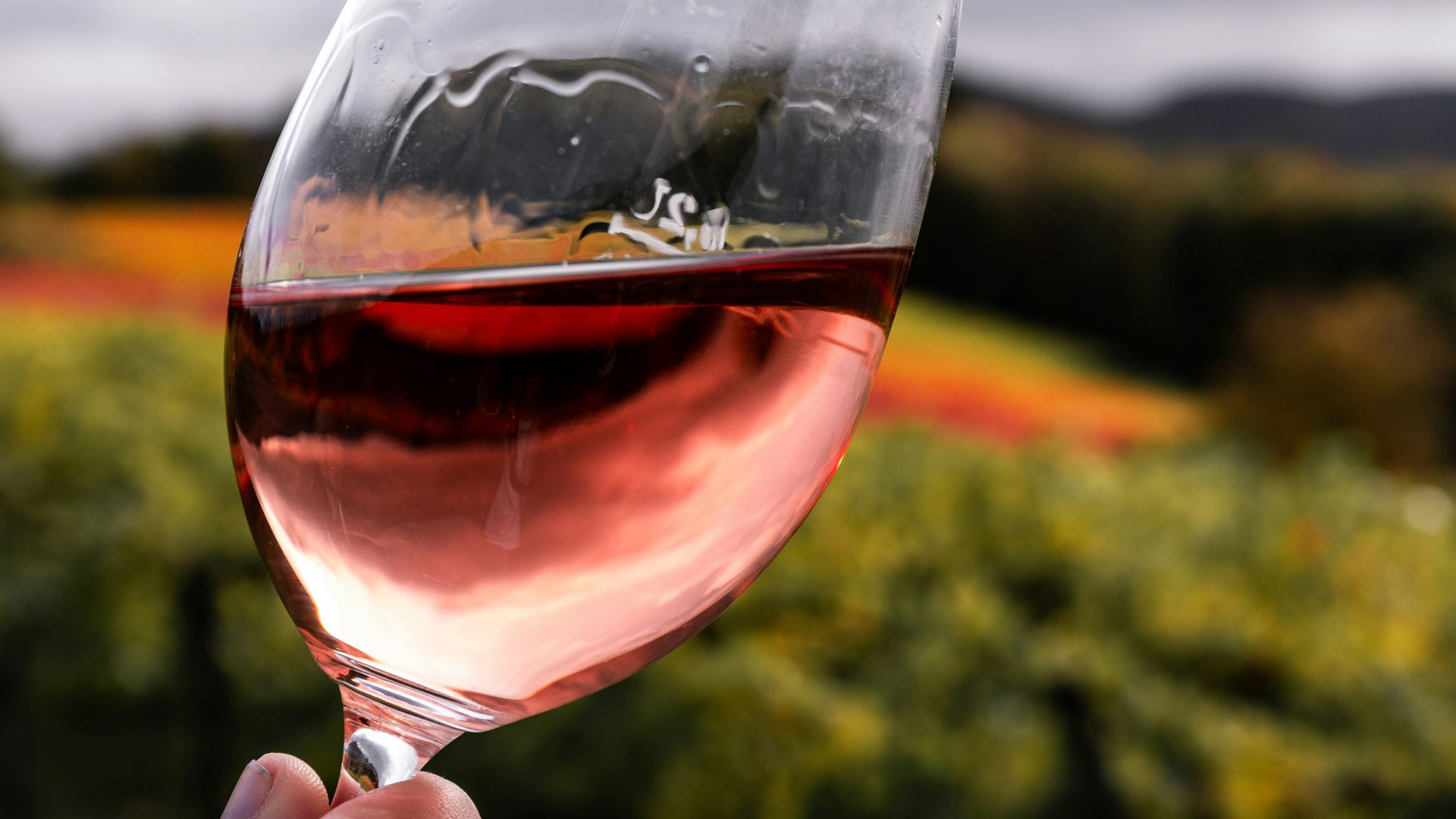 I mesi del vino in Toscana19