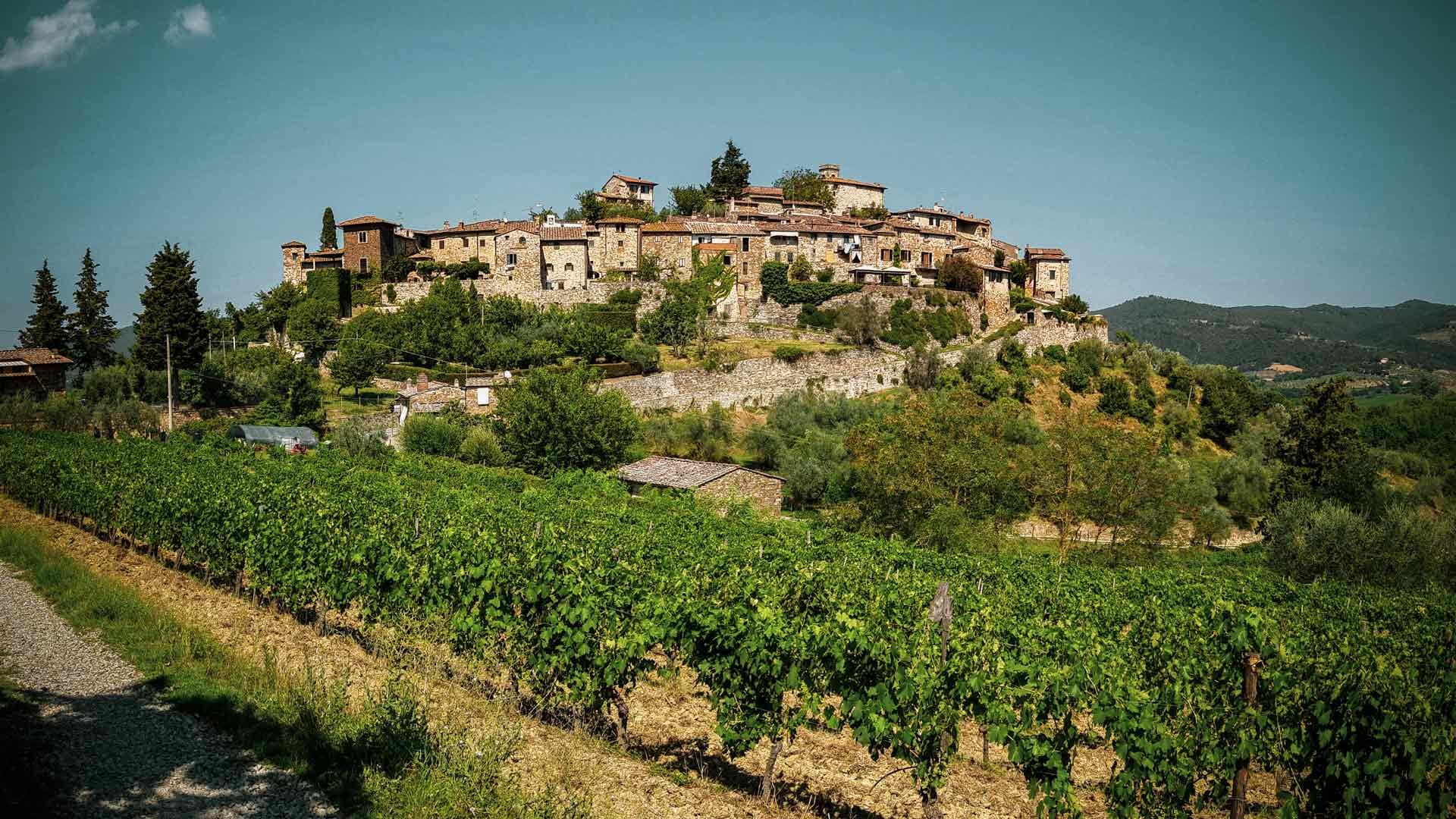 Esperienze nella natura vicino Siena23