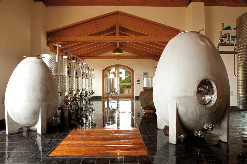 Cellar2