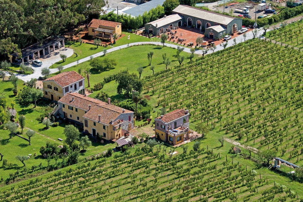 Vino2