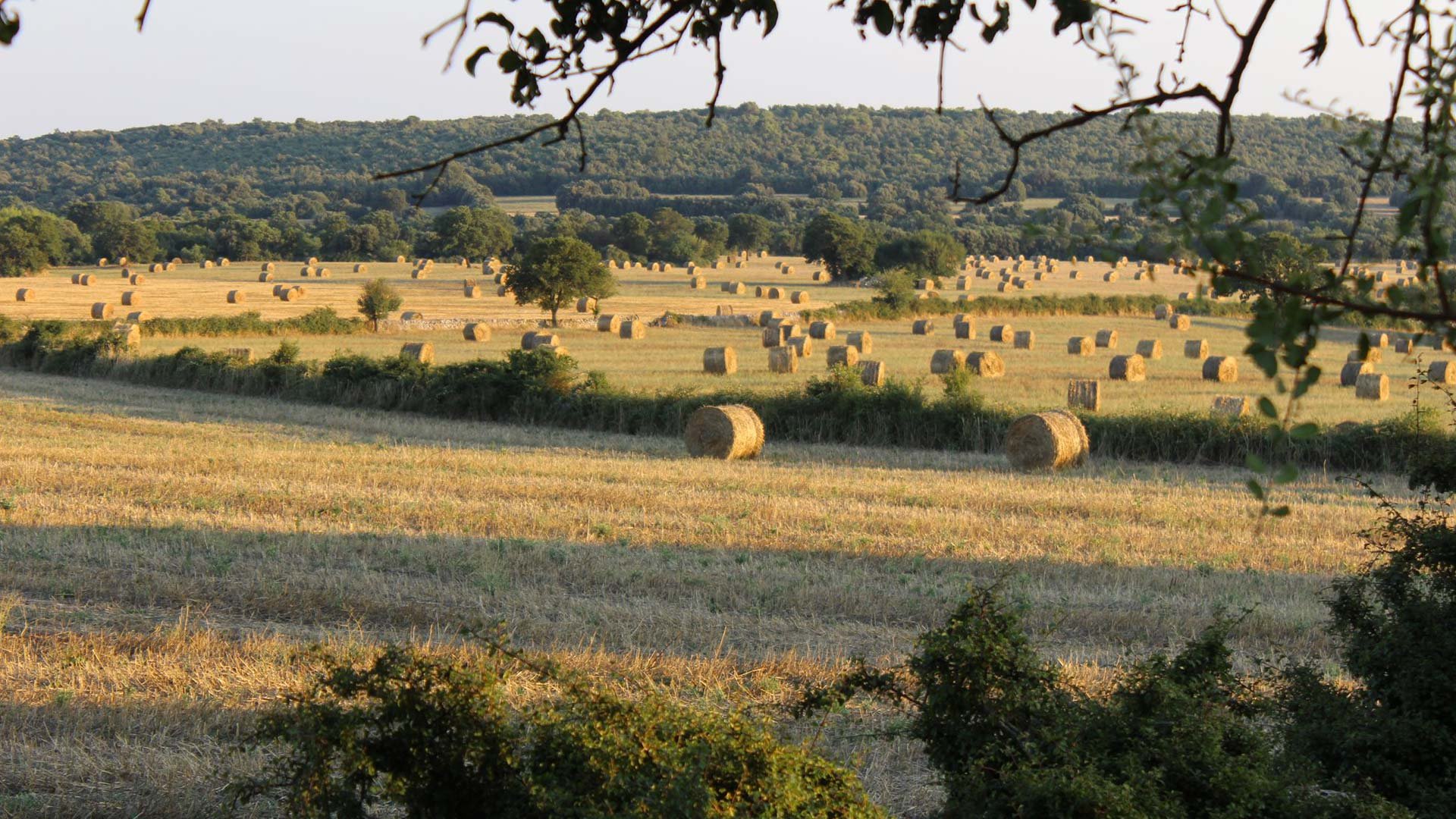 Puglia6