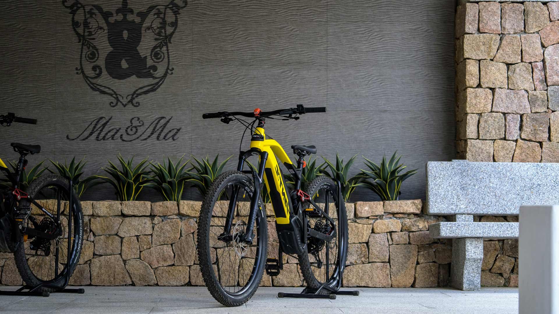 Escursioni guidate in e-bike3