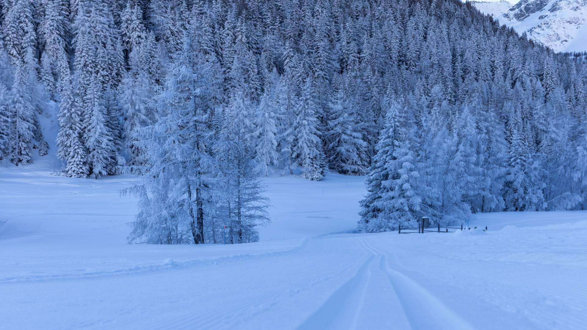 Vallée d