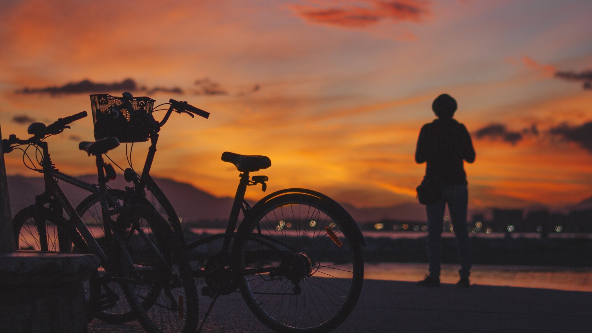 Bike guided tours3