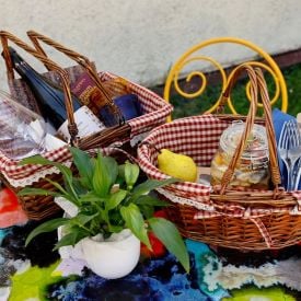 Pic nic romantico2