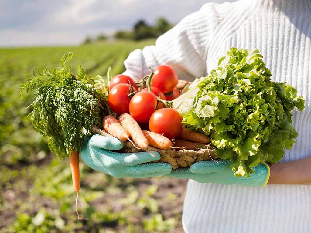 gallery/1024-farm.jpg