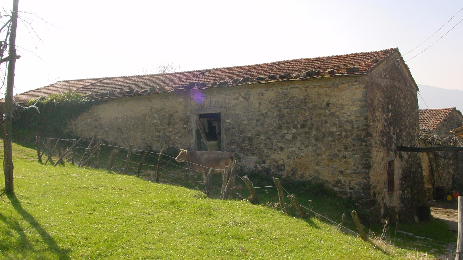 La Storia11