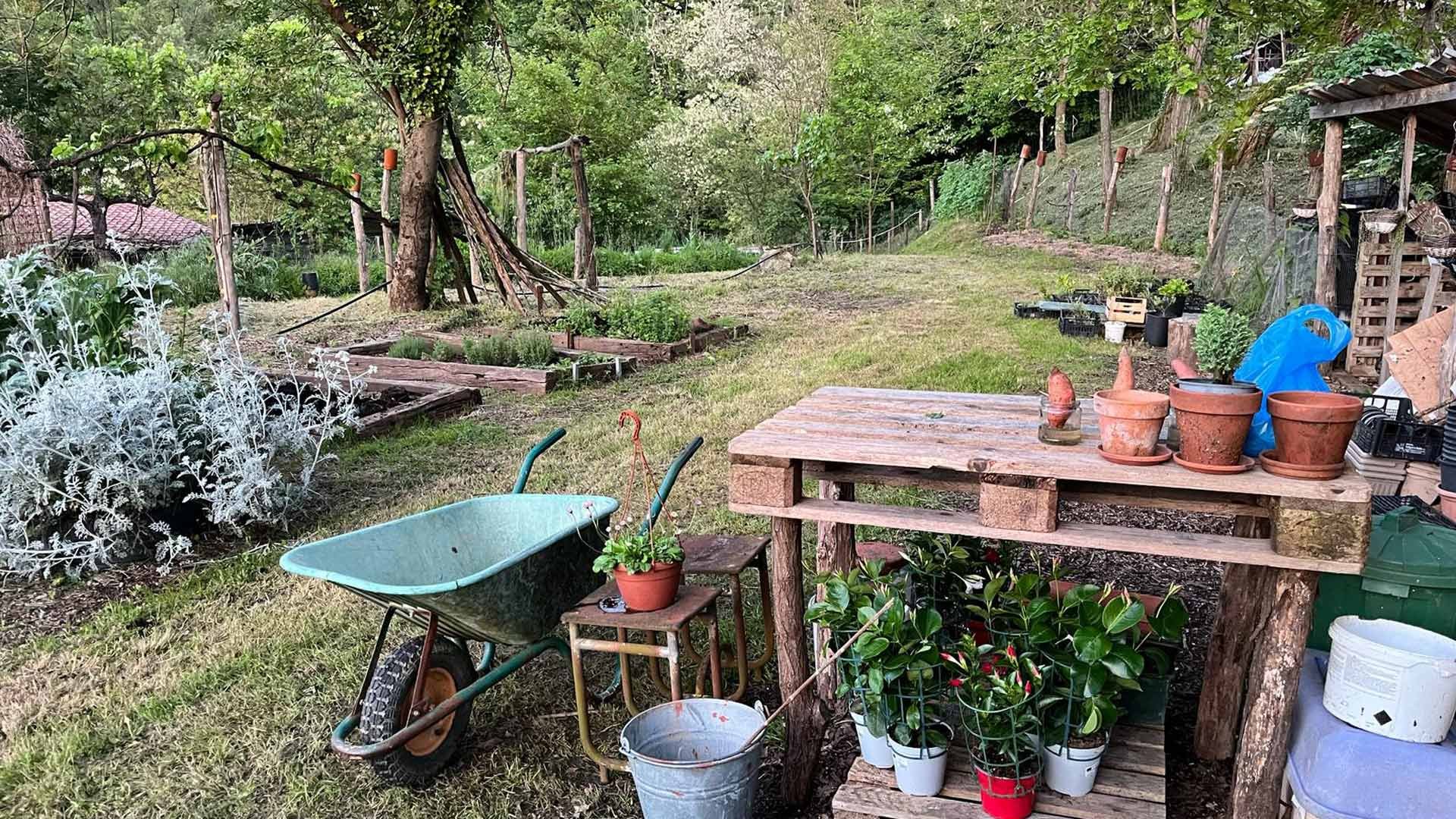 Organic Farm6