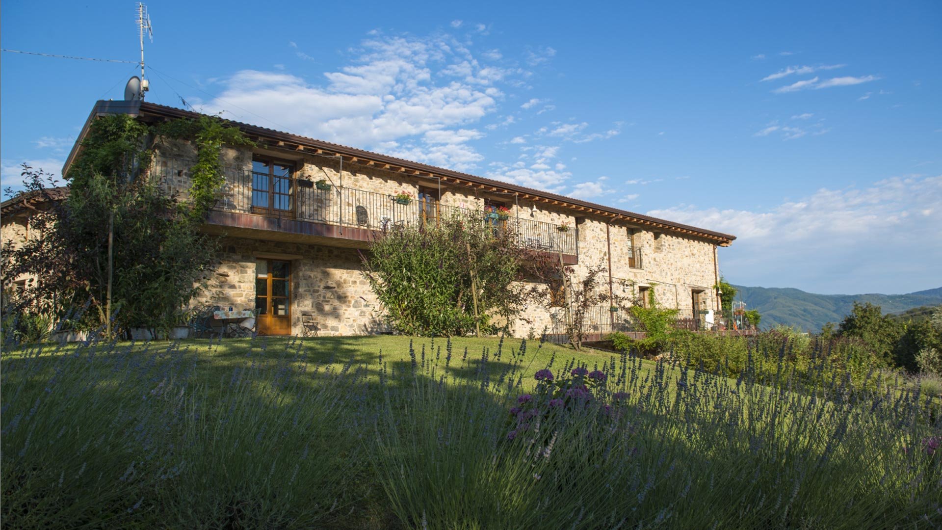 Suite Saponaria4
