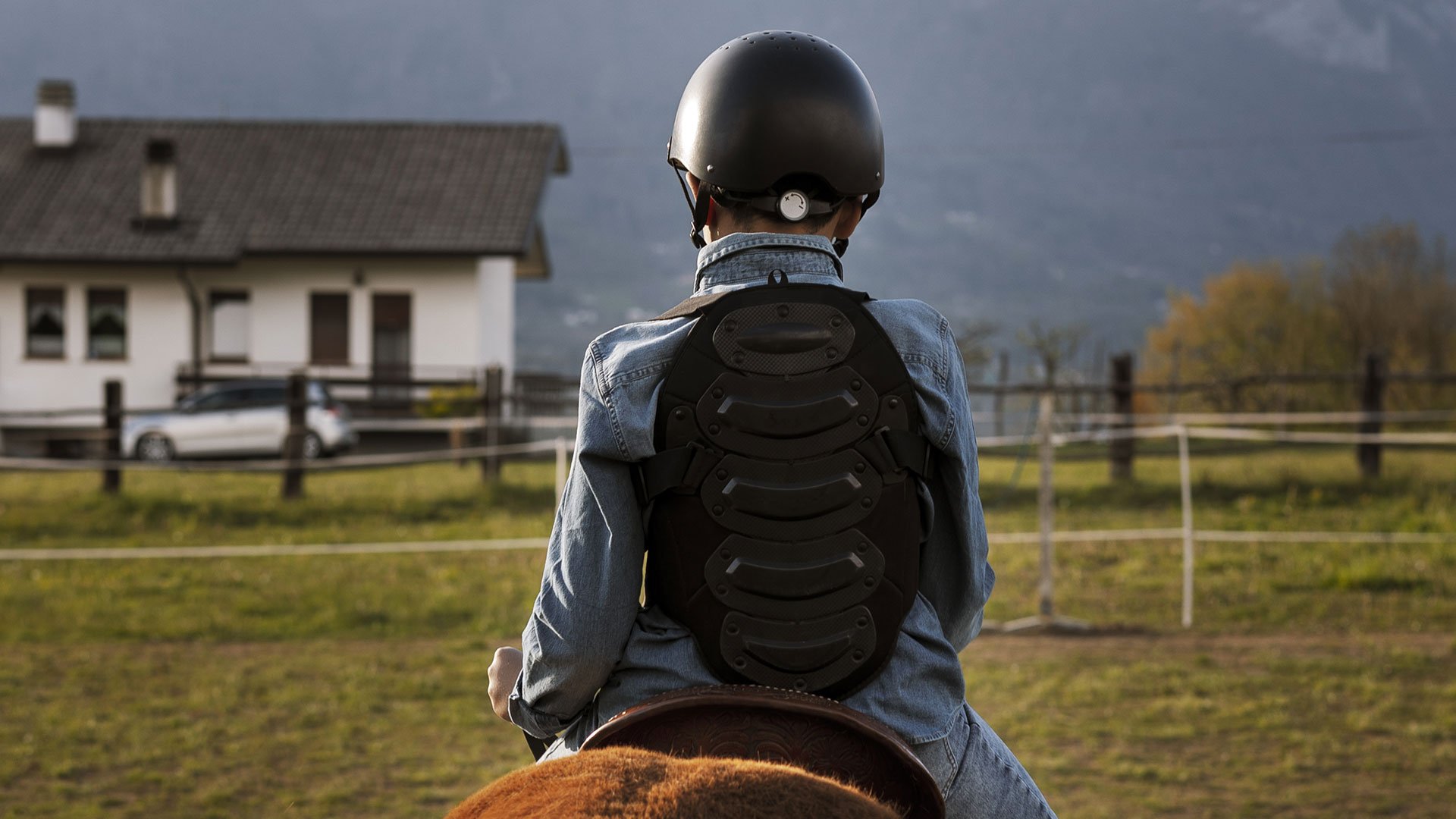 Cavallo 1 Cavallo 1