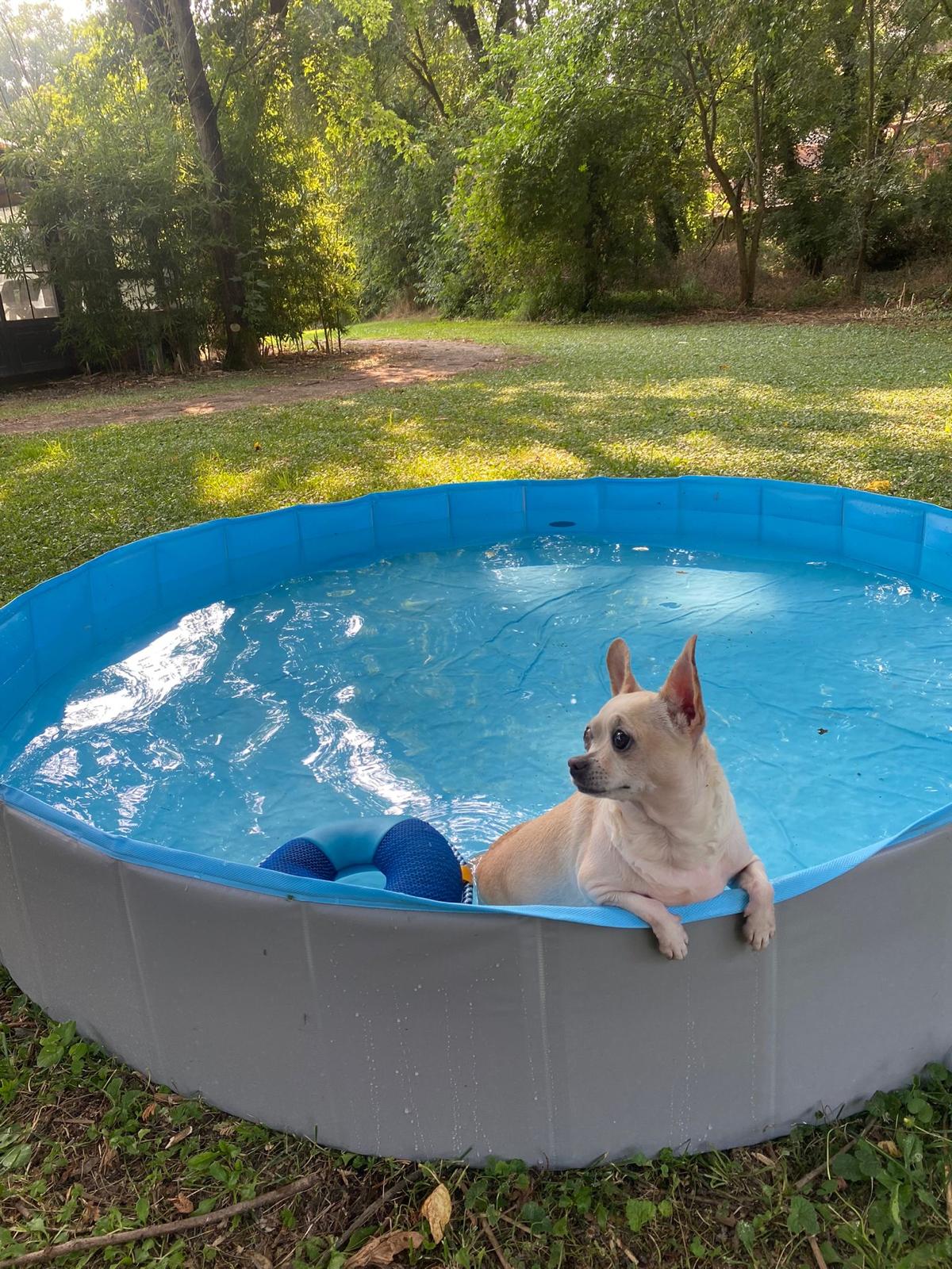 Piscina esterna22