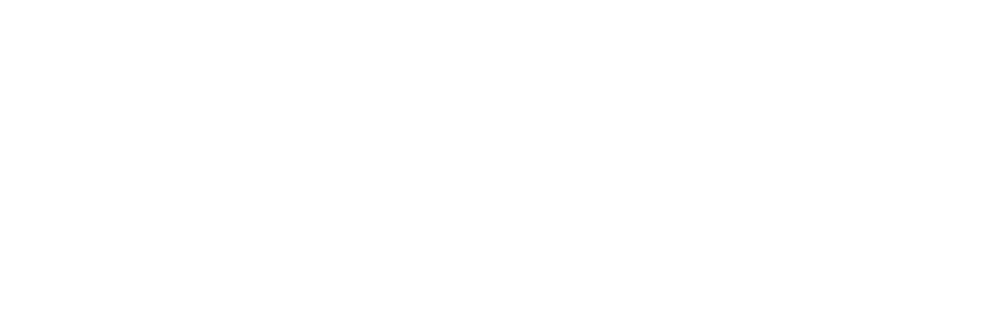 Loghi-prova/logo_parkhotelfidenza.png