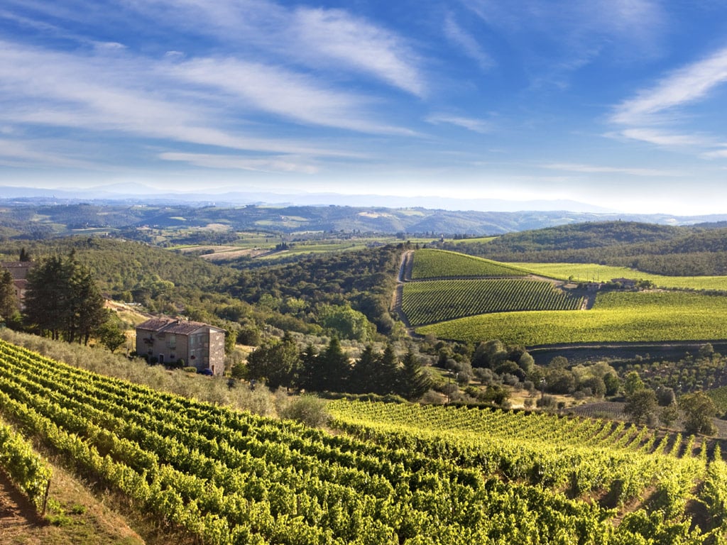 Wine tasting and Lunch on the Lucca Hills1