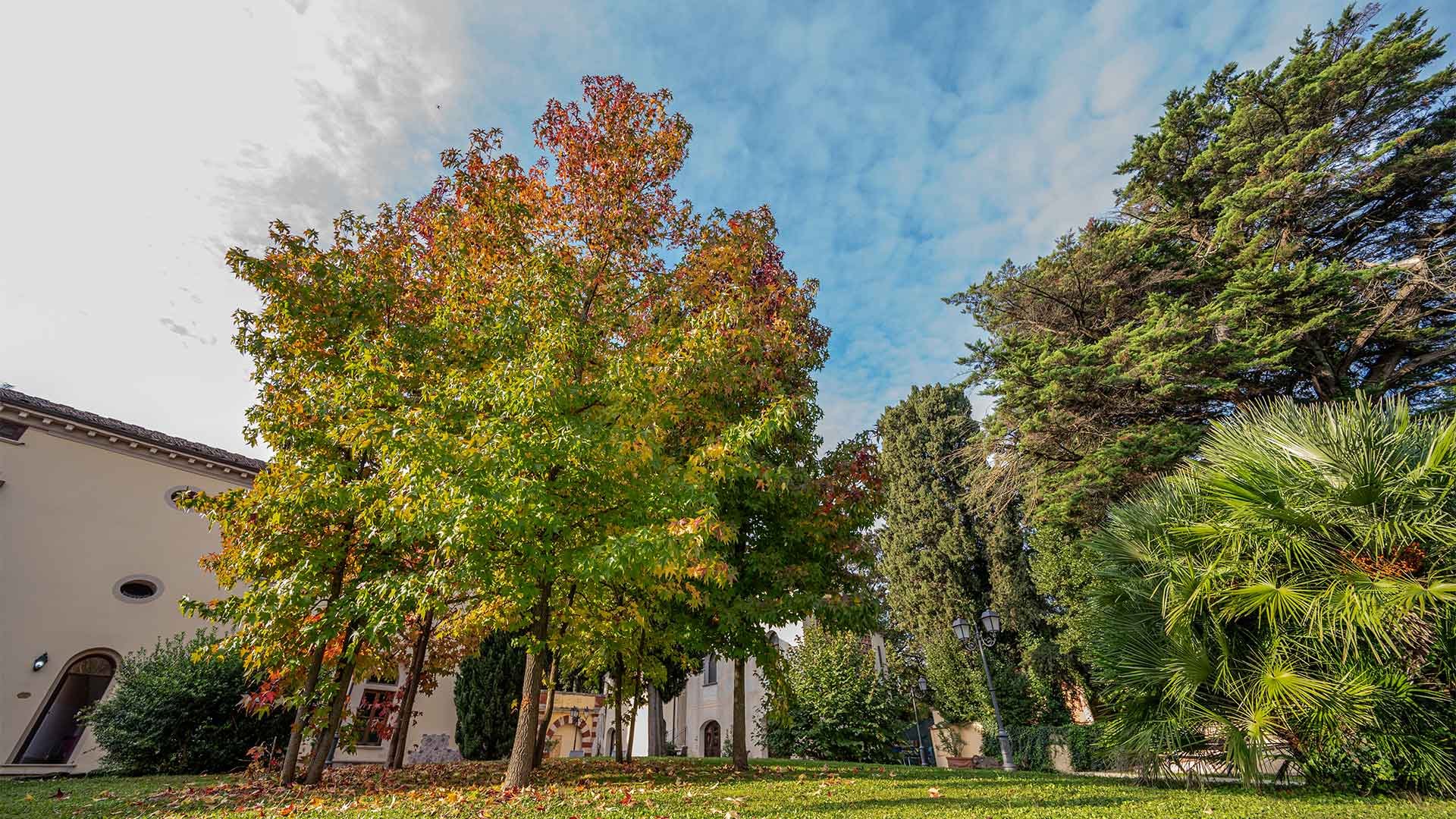 Villa Borri Terme4