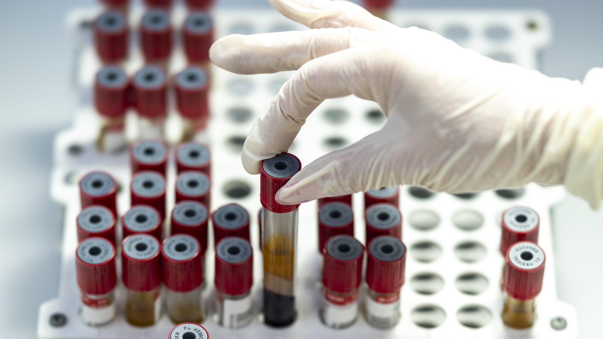 La certezza della scienza medica9 La certezza della scienza medica9