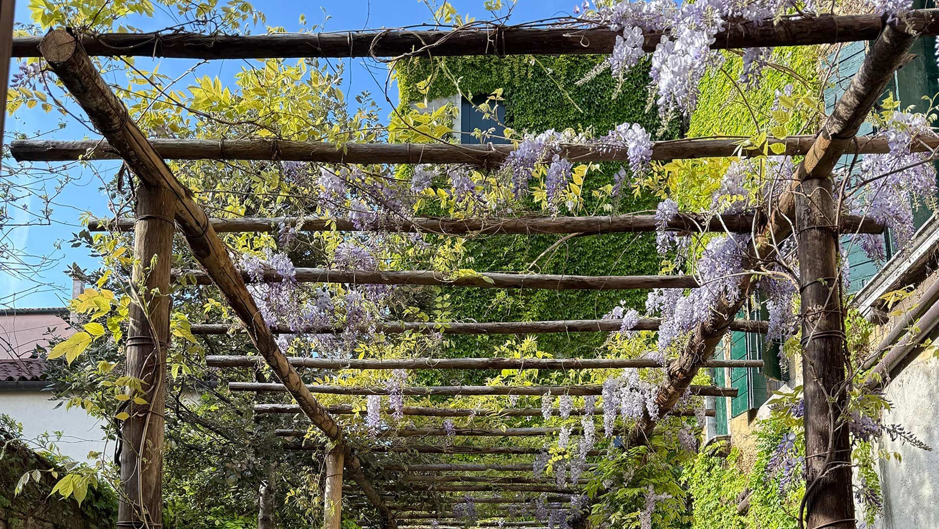 Giardino privato2