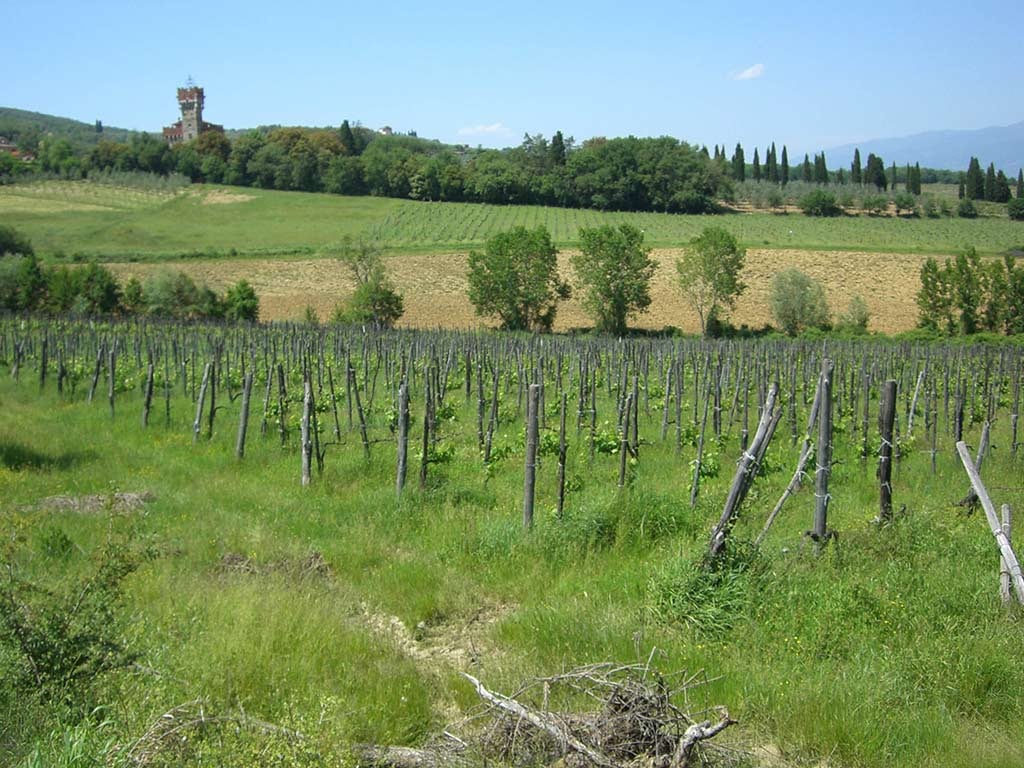 Find your tranquil escape in the heart of Tuscany at Poggio Cennina Resort6