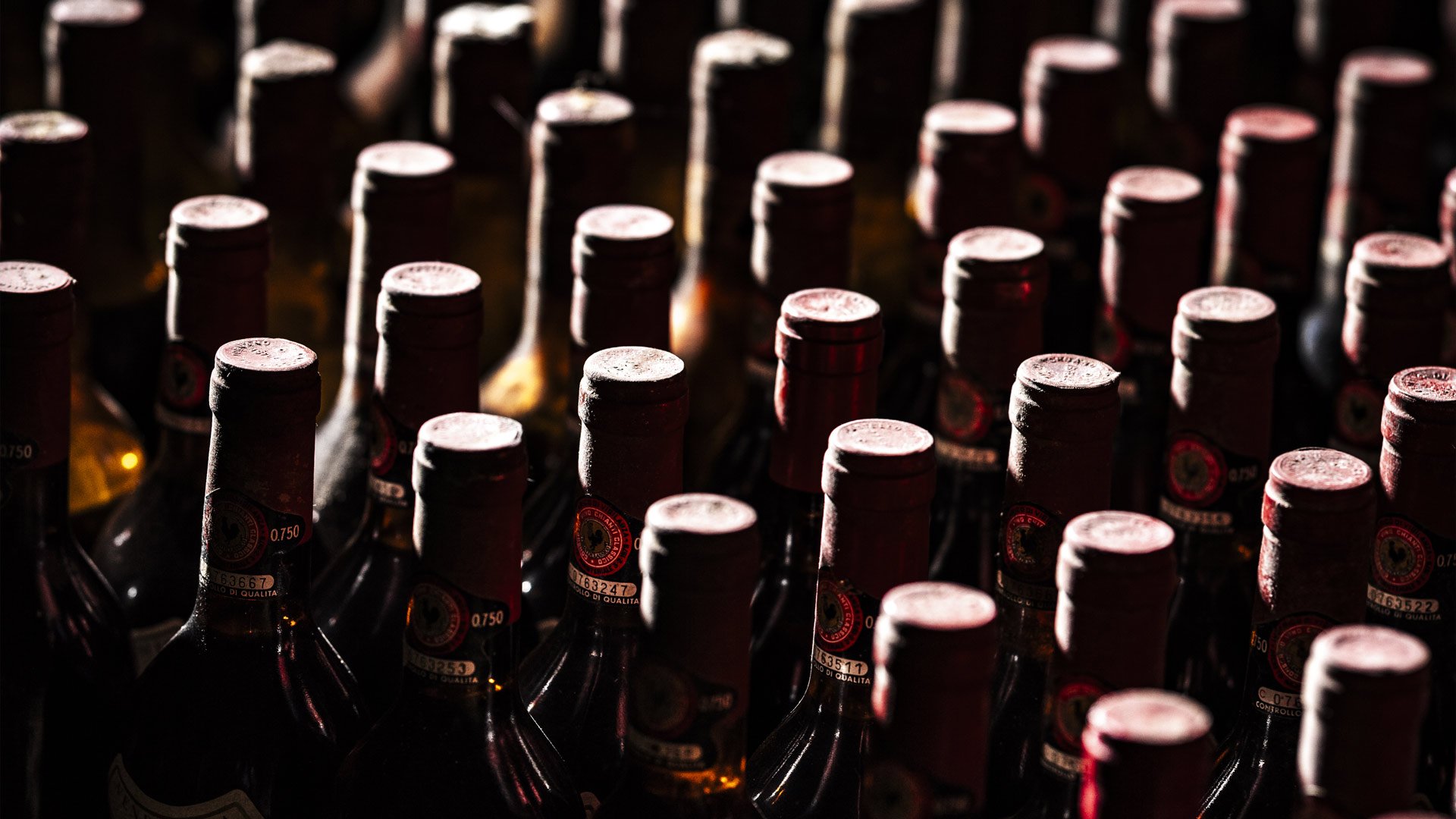 Wine and Tastings9