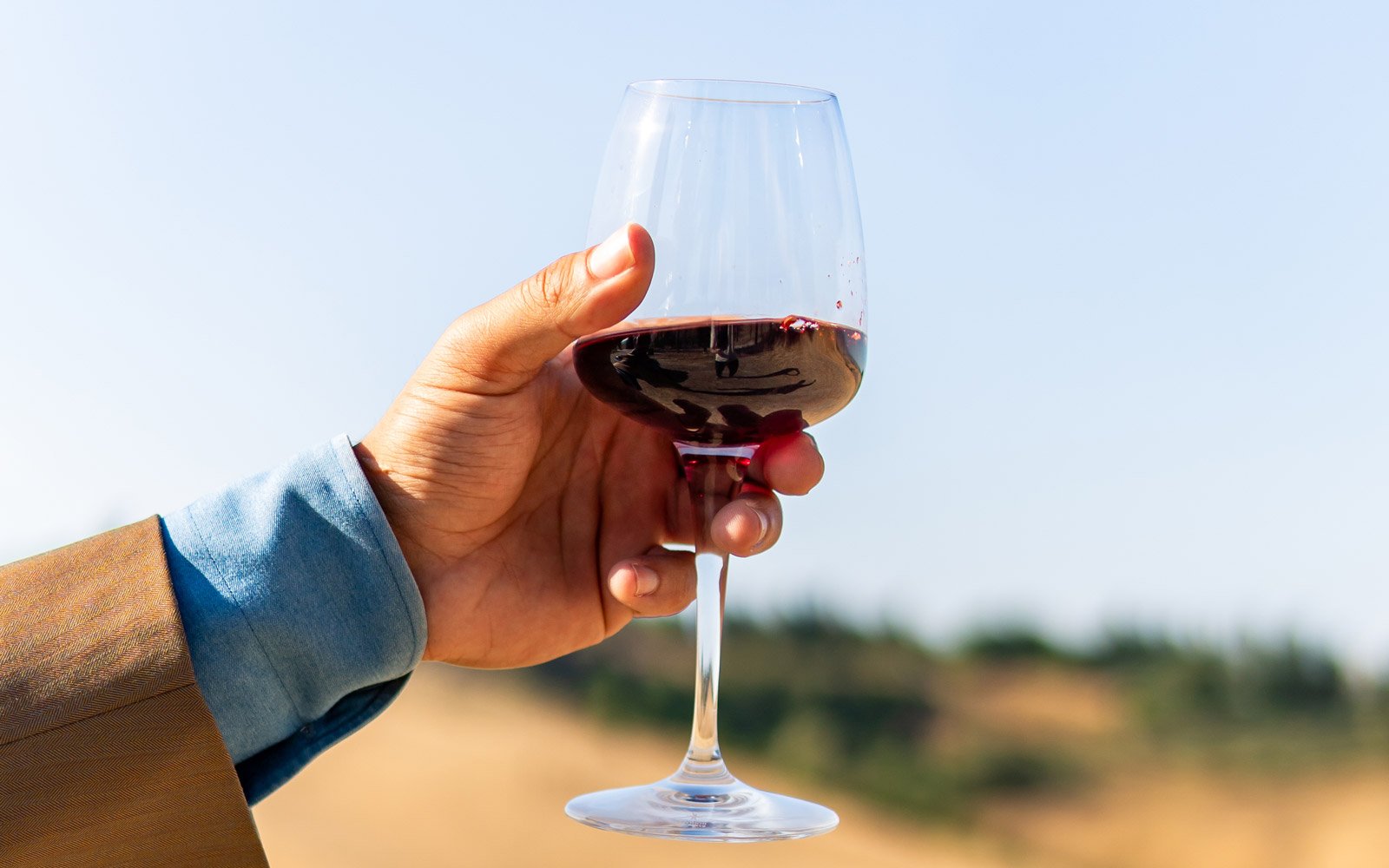Wine and Tastings8