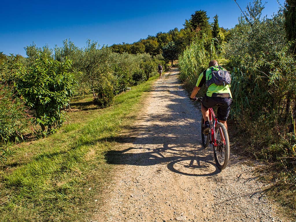 gallery/1024-bicicletta2.jpg gallery/1024-bicicletta2.jpg