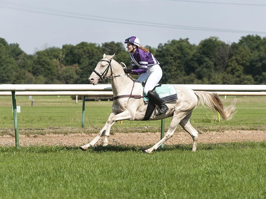 gallery/1024-ippodromo-gallery.jpg gallery/1024-ippodromo-gallery.jpg