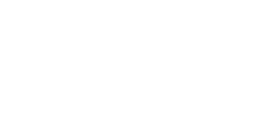 Loghi-prova/preferred-lifestyle-logo.png