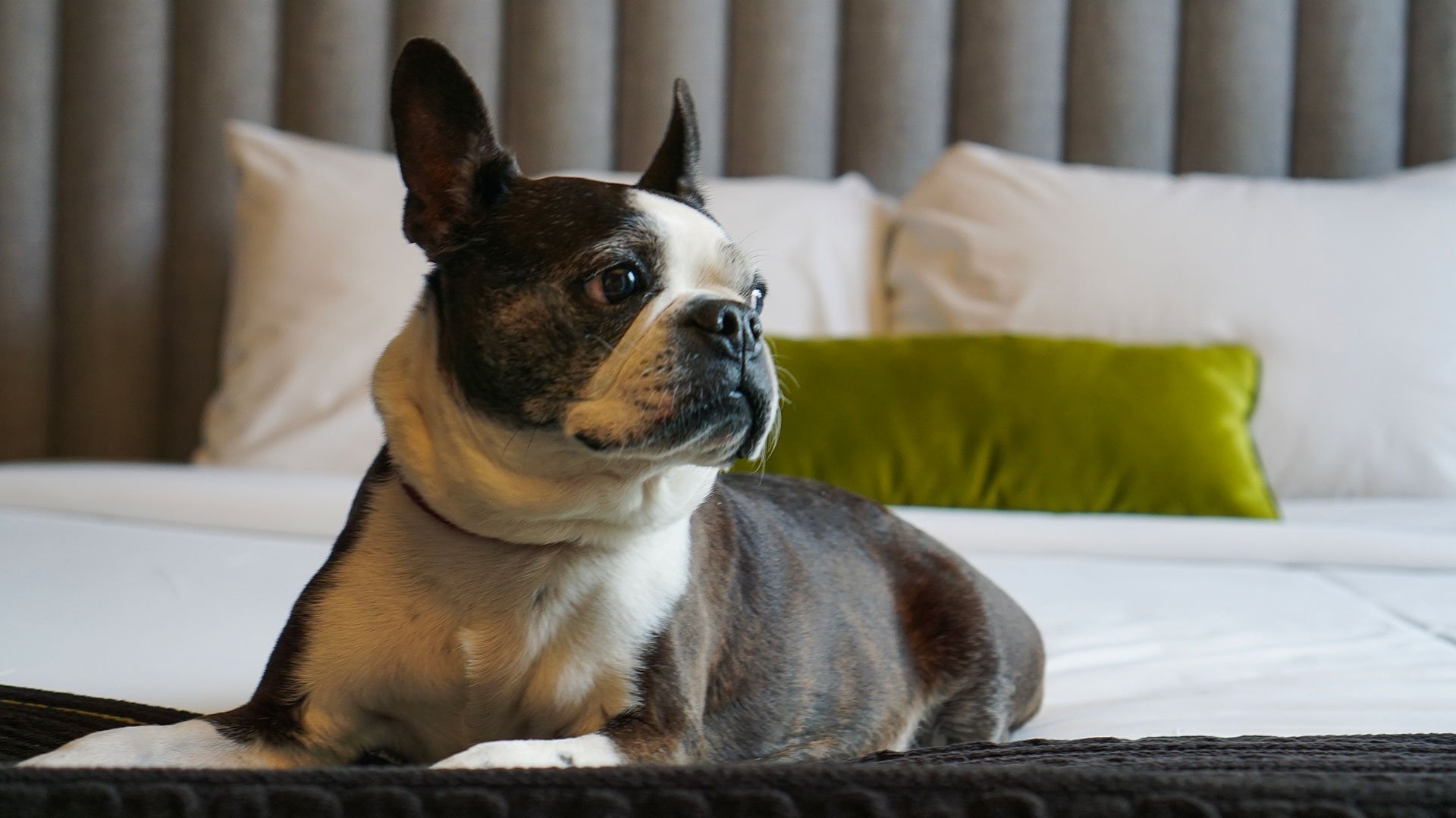 Corso 281 Luxury Suites 3