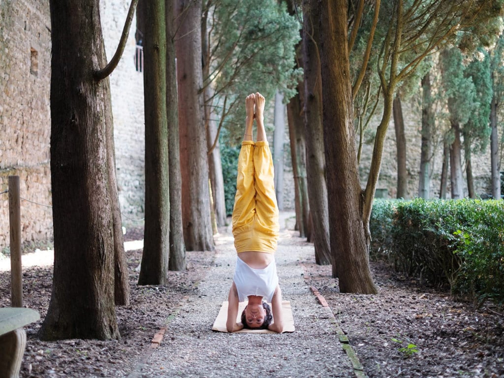 Yoga12 Yoga12
