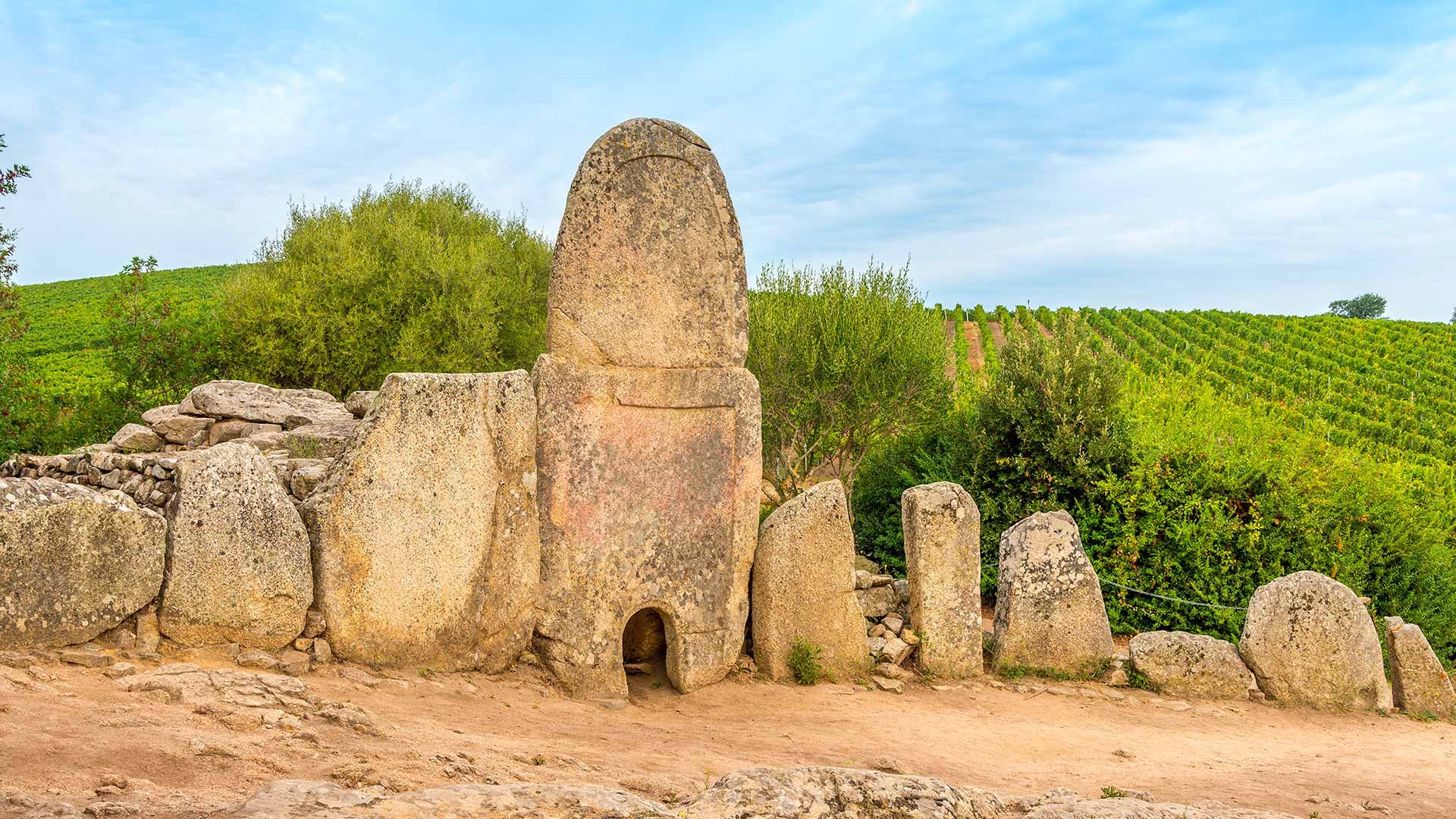 Culture and Traditions 1