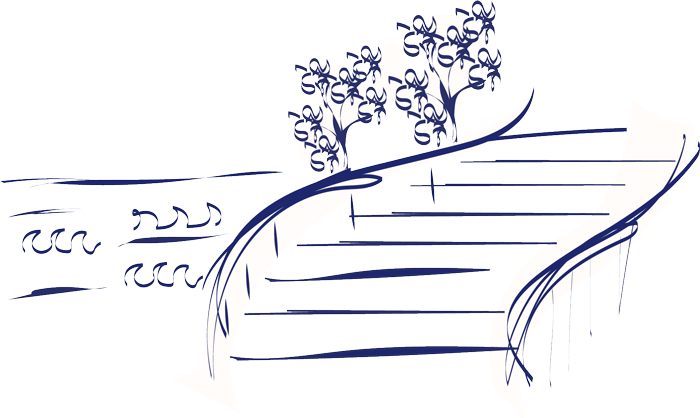 Sentiero degli Dei