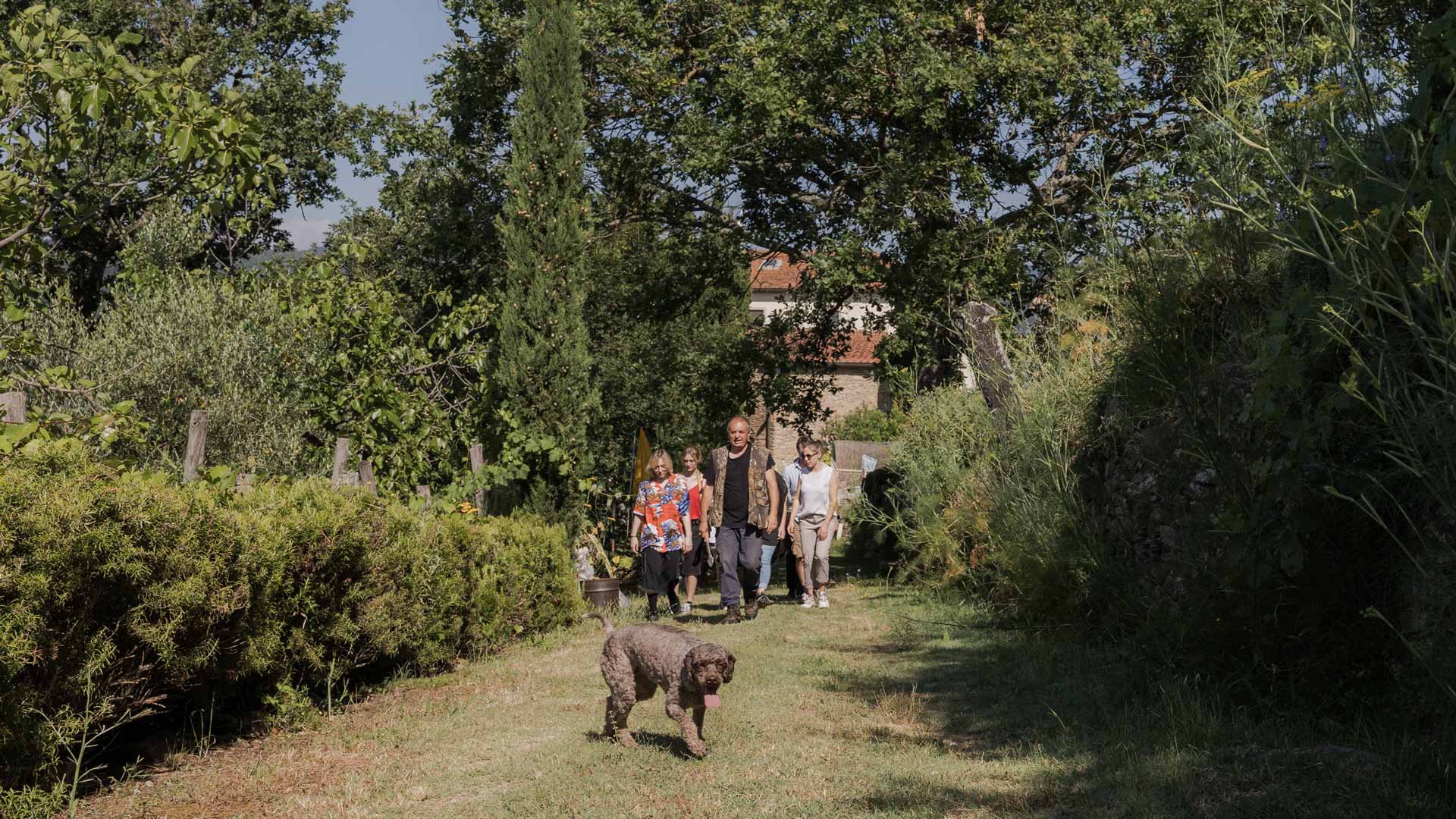 Truffle Hunting2 Truffle Hunting2
