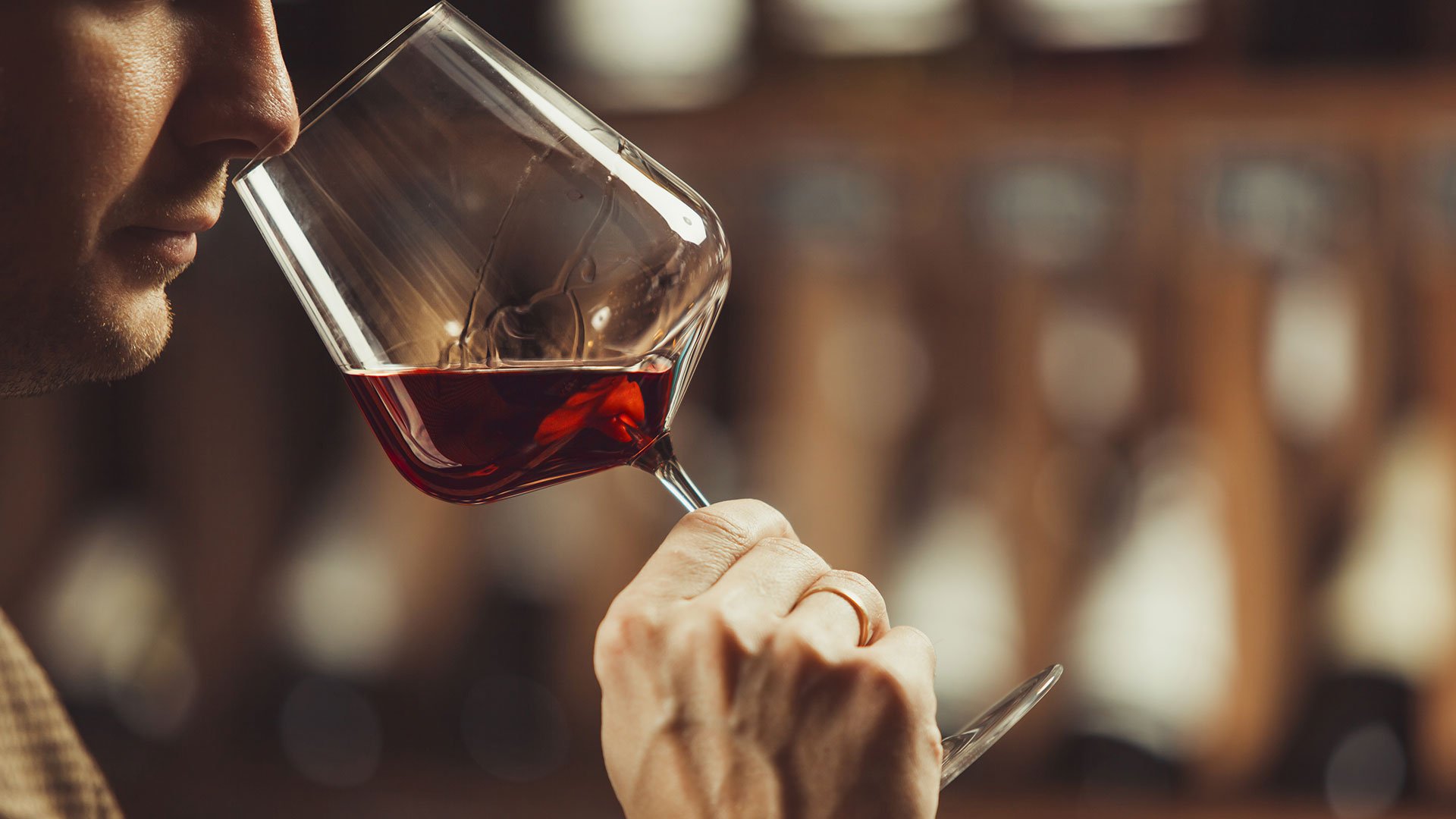 Wine Tour5