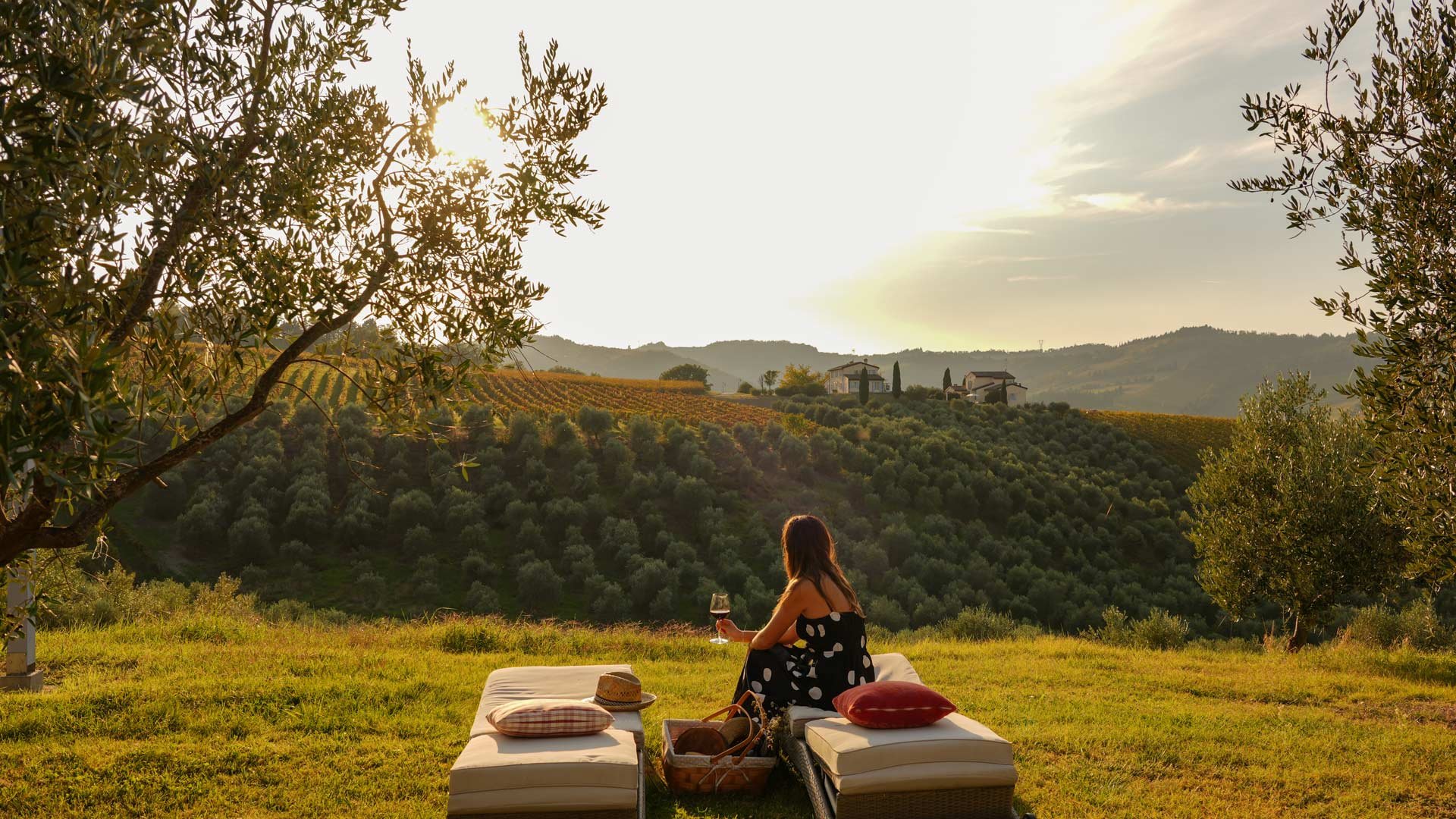 Wine Tour4