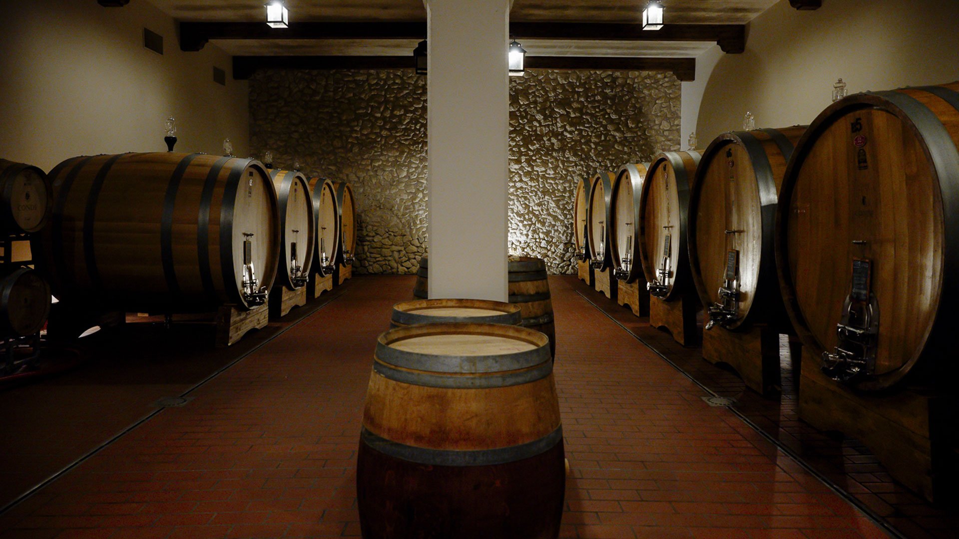 Wine Tour6