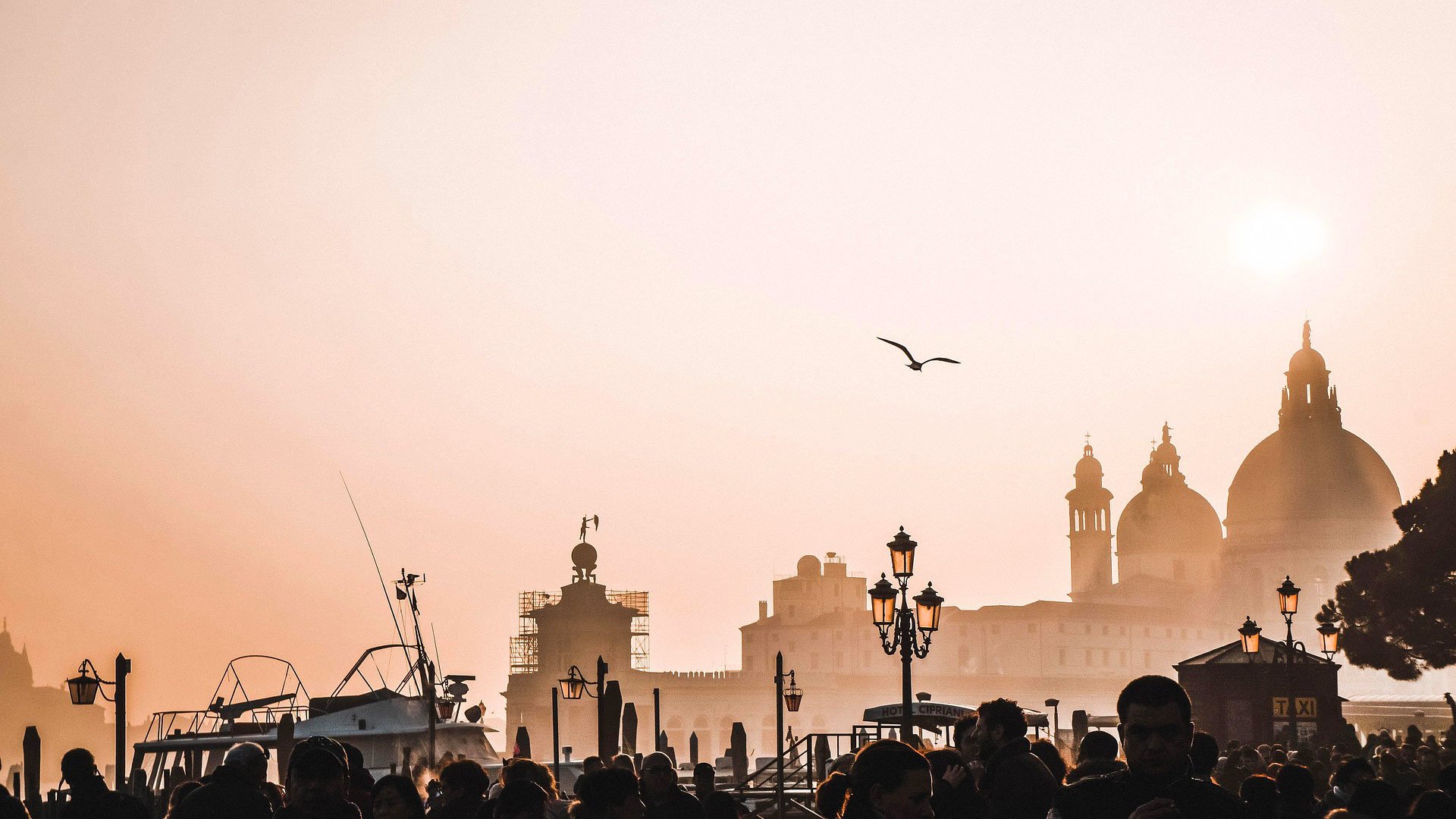 Venice, to be truly20