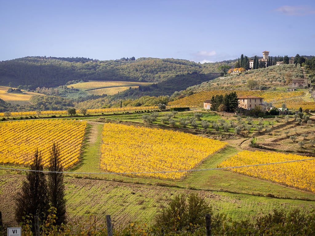 The Winery6