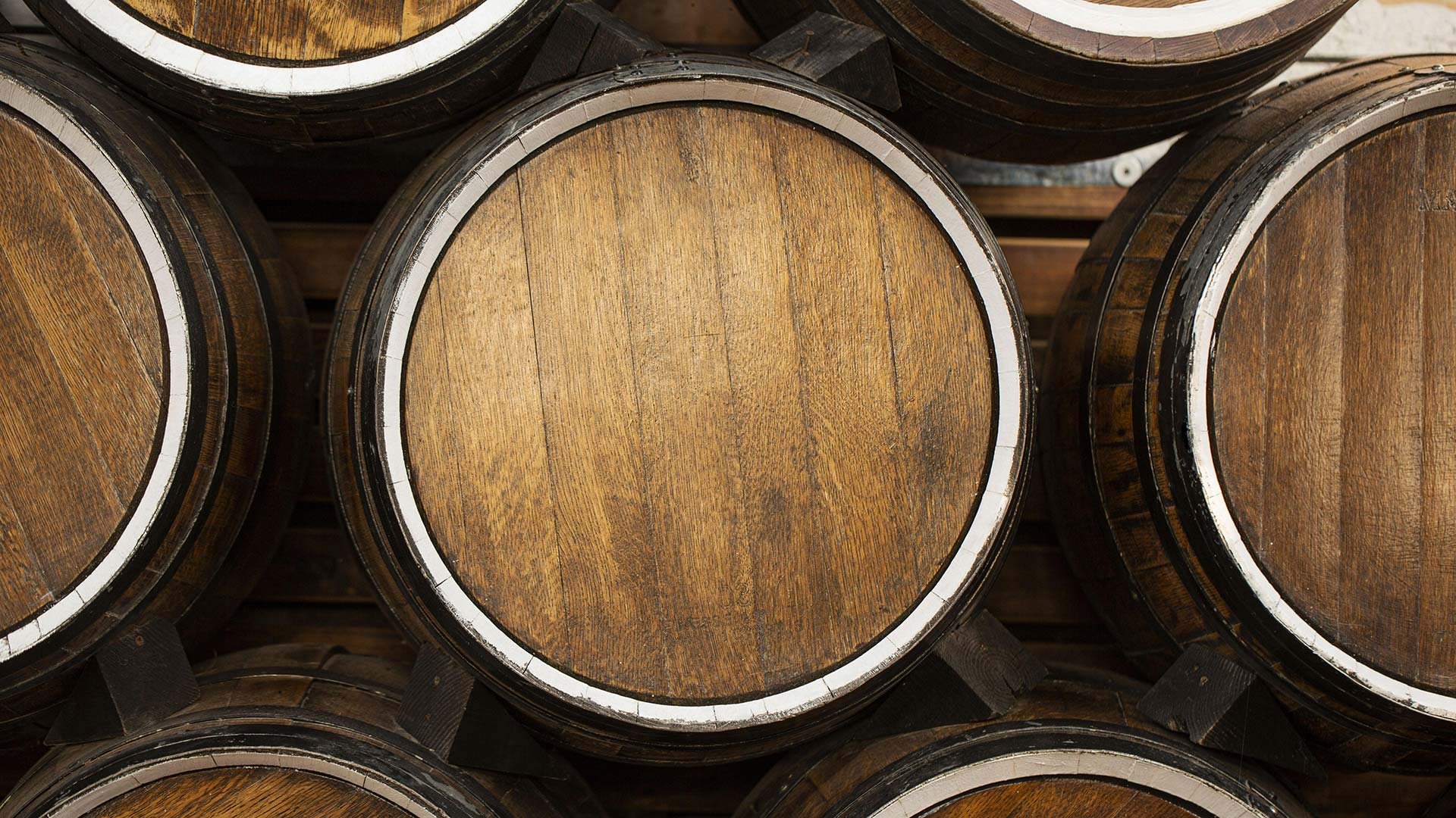 Degustazioni Vini Toscana4